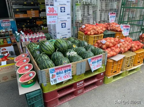 韩国游客到中国疯狂购物,看完他们买的东西,中国大妈都不淡定了